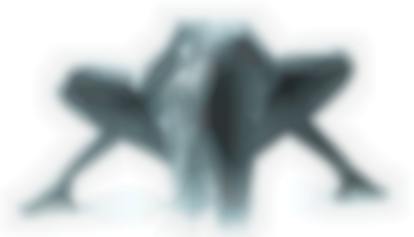 Pourquoi la Sex Cam ?